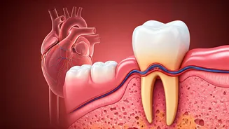 Sorriso Saudável, Corpo Forte: Como a Boca Influencia a Saúde Geral