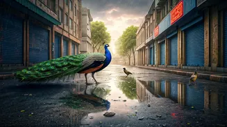 City Wildlife After Rain Is Pure Feed Gold