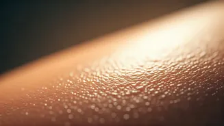 Glow Lovers, Read This Before Monsoon