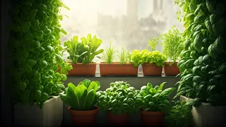 Terrace Gardening Revolution: Urban Families Growing Fresh Pesticide-Free Veggies