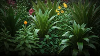 These Monsoon Plants Will Keep Your Balcony Looking Fresh
