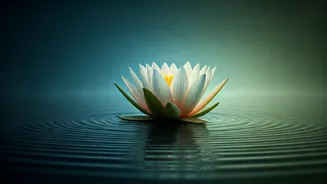 Related Stories banner