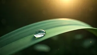 Embarking on Your Spiritual Path: 6 Simple Steps to Inner Exploration