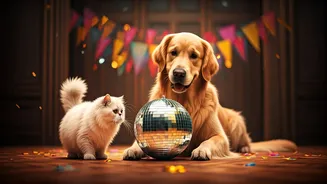 Kriti Sanon's Heartfelt Wedding Celebration