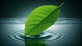 Related Stories banner