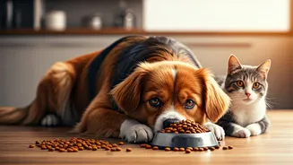 Why Quality Nutrition Focus Protects Pets From Complex Metabolic System