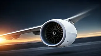 Reports Show 68% Jump In Spontaneous Short Flights