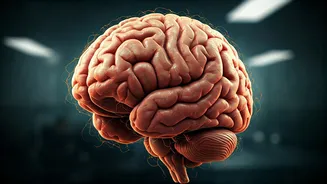 Early Childhood Sleep Loss: Unlocking the Link to Autism Risk