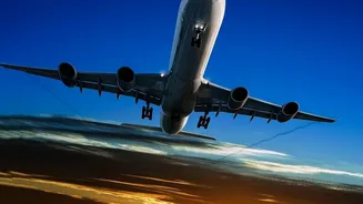 The Career Question Behind July's 17% Travel-And-Tourism Hiring Rise: A Jobs Bright Spot in Travel
