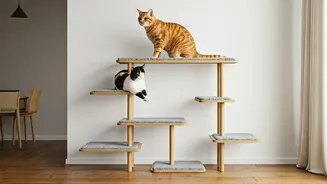 Multi Tiered Cat Stepping Shelves Take Over Pet Content Feeds