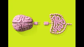 Ansiedade pode vir do intestino? O que a neurociência já descobriu