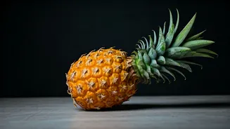 Delhi Foodies, Tripura Pineapple Deserves Attention