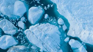 Scientists Decode Antarctica's Invisible Changes Using NISAR's Advanced Radar System