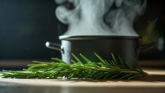 Grandma's Secret: How Boiling Rosemary Naturally Purifies Your Home's Air