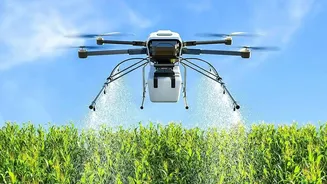 Low-Cost AI Farming: Smartphone Sensors Help Maharashtra Farmers Combat Crop Diseases Early