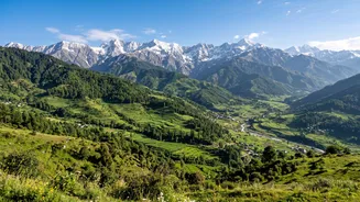 Workation Hostels In Bir Billing And Kasol Offer High Speed Wi Fi For Tech Workers