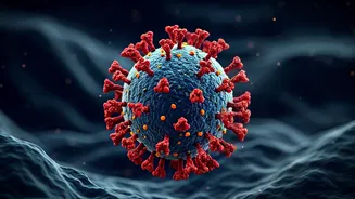 Understanding Coronaviruses: Origin, Symptoms, and Transmission of COVID-19