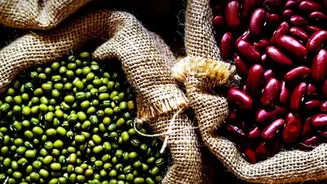 Could Uneven September Rain Change India’s Winter Food Price Outlook?