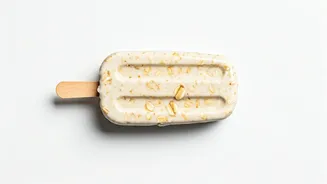 Turn Healthy Oats Into Creamy Ice Cream Bars Instantly