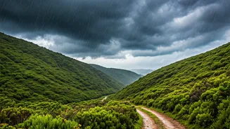 Travellers Are Romanticising Green Monsoon Landscapes Again