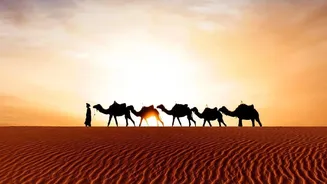 Qatar's Desert And Coast Experience Brings A Desert Morning And Seaside Evening Together