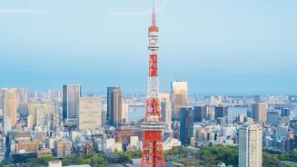 Japan's Higher Exit Tax Is a Small Line Item with Real Budget Impact