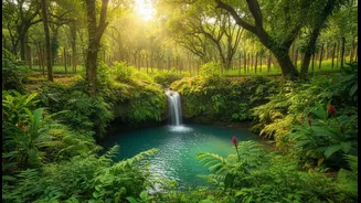 Why Nature Lovers Are Skipping North Goa Beaches for Quiet Hinterland Adventures