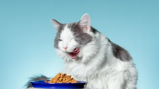 Check Late Workdays Before Planning Pet Feeding