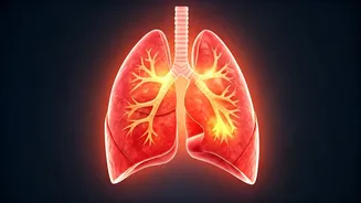 Lingering COVID-19 Symptoms: Beyond the Virus