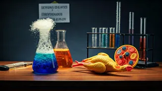 Movies and TV Shows Get Science Wrong!
