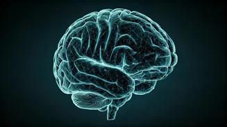 5 Japanese Brain-Boosting Techniques for Sharper Thinking