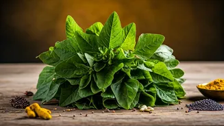 Vibrant Indian Spinach: 5 Delicious and Nutritious Classic Recipes