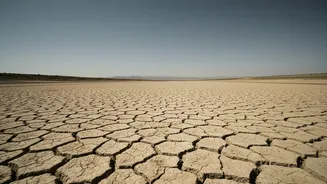 University of Miami Scientists Warn a 2°C Month Is No Longer Remote
