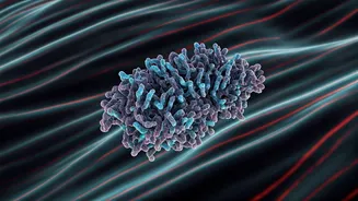 Dr. Pal Debunks Diabetes Myths: Unmasking the Real Culprit