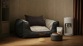 Furry Guests Are Getting Better Hotel Treatment Now
