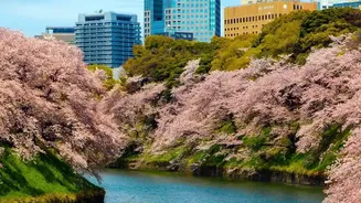 From Tokyo Hustle To Green Silence: Top City Parks To Bookmark In Japan