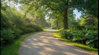 A Gentle Outdoor Walk Can Help After Hours Of Sitting And Cabin Light
