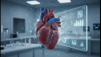 Exercise, Liraglutide And Vascular Biomarkers Can Help Fitness Readers And People Tracking Metabolic Health Track Fitness And Vascular Markers Alon...