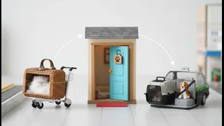 Flights, Homestays And Cabs Need Separate Pet Travel Checks