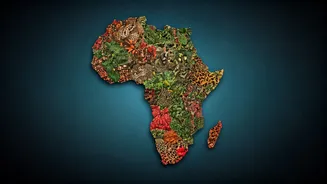 iShowSpeed's Life-Changing African Adventure: A Recap