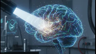 How cerebellar brain discovery enhances precision of targeted deep brain stimulation therapies