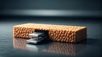 The Hyper-Palatability Trap: The Truth About Diet Snacks