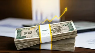 Repo Rate's Impact: How It Affects Your EMIs & Borrowing