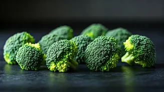 Broccoli: 9 Delicious and Nutritious Dishes