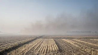 Why farm fires fuel North India smog