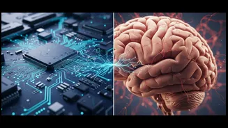 AI Fluency Is Useful Context, Not a Guarantee, for Students and Professionals