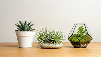 Incorporate Living Design Pieces On Office Desks Effortlessly Today