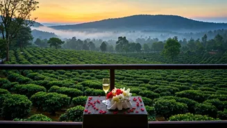 This Viral Coorg Honeymoon Guide Is Absolute Heaven