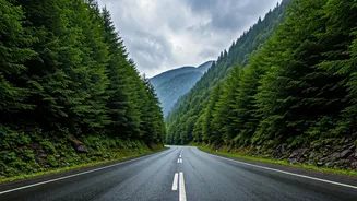 Find Safe Mountain Roads For Your Next Monsoon Trip Instantly