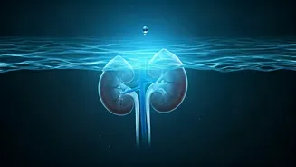 The Surprising Reason You Pee So Much After a Swim: Immersion Diuresis Explained